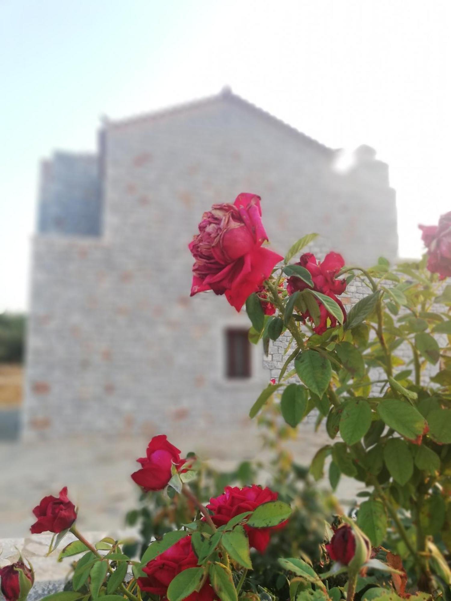 Athevillas Antonis Mína المظهر الخارجي الصورة